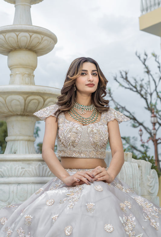 Taupe Hand-Embroidered Tissue Organza Lehenga Set