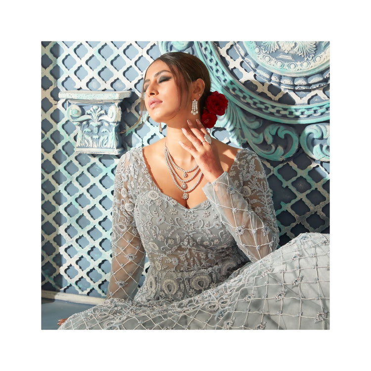 Net Ball Room Gown