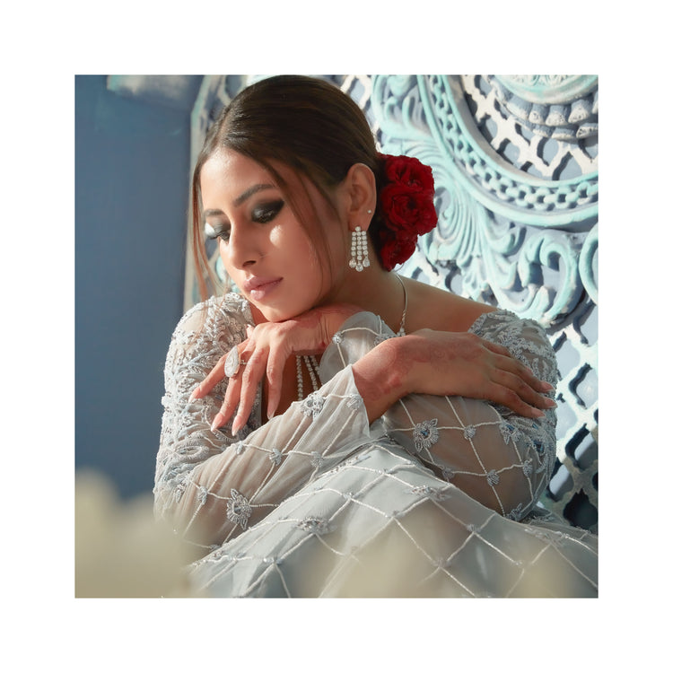 Net Ball Room Gown