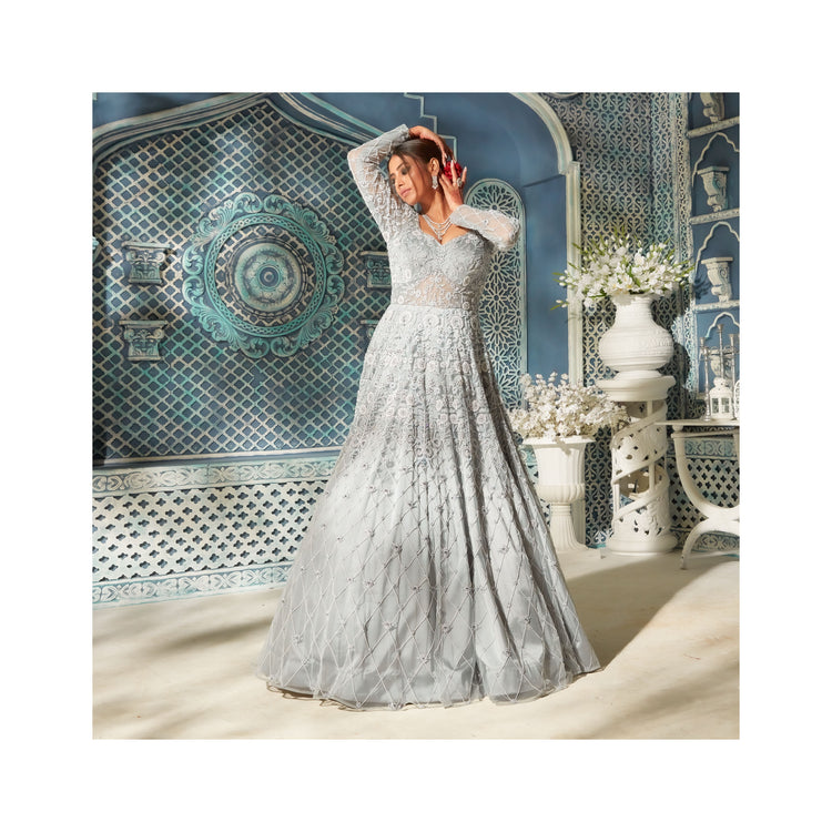 Net Ball Room Gown