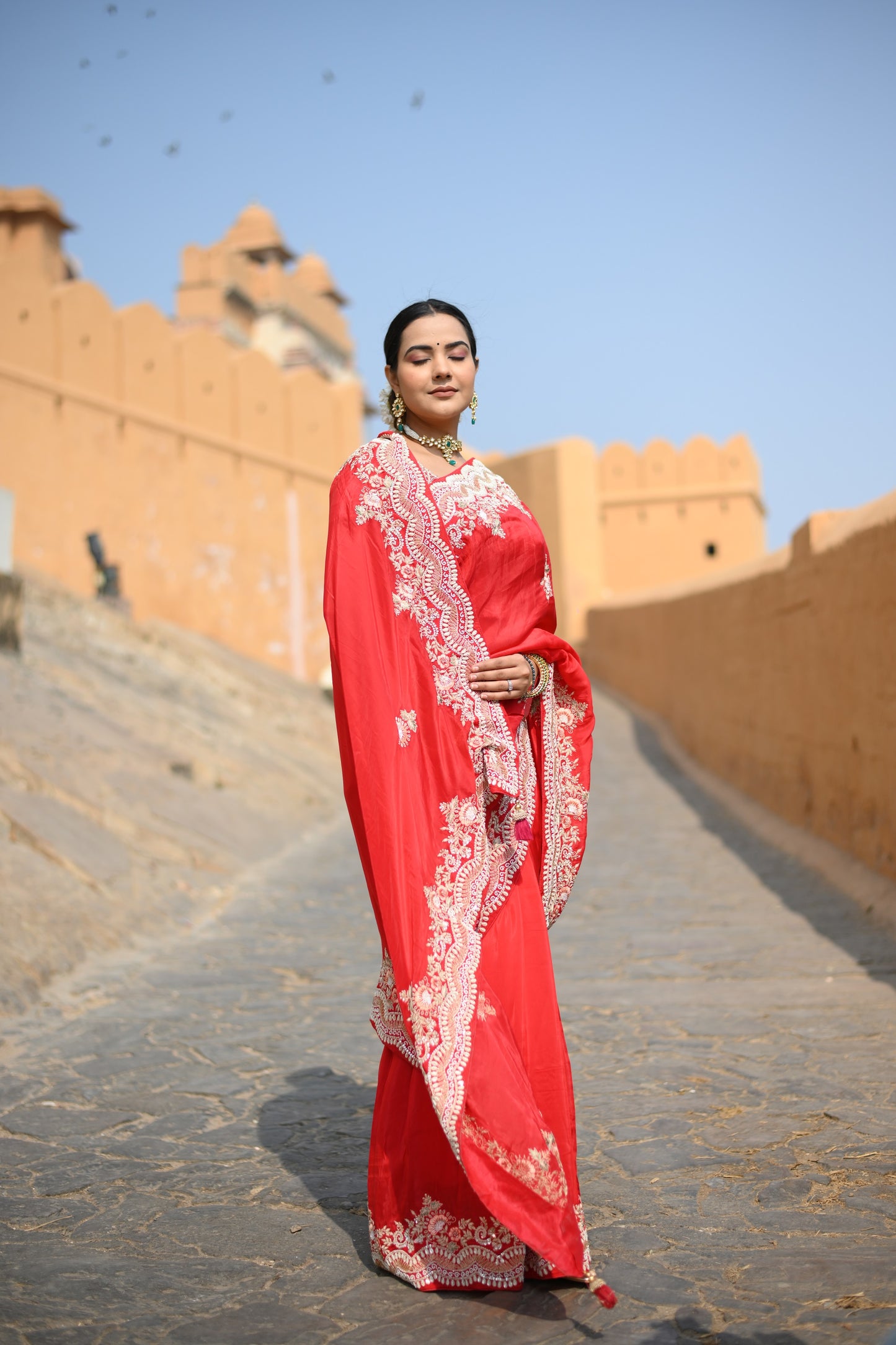 Candy Red Pure Organza hand Work Saree