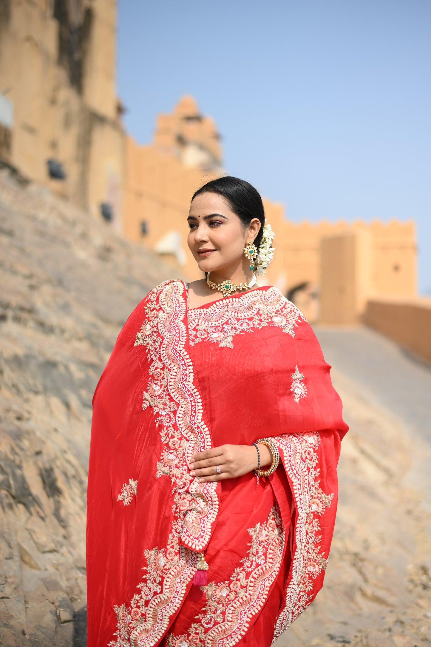Candy Red Pure Organza hand Work Saree
