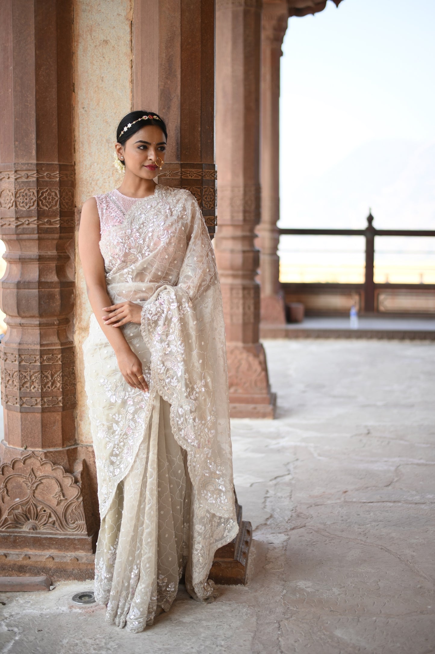 Thunder Silver Pure Orgenza Embellished Saree