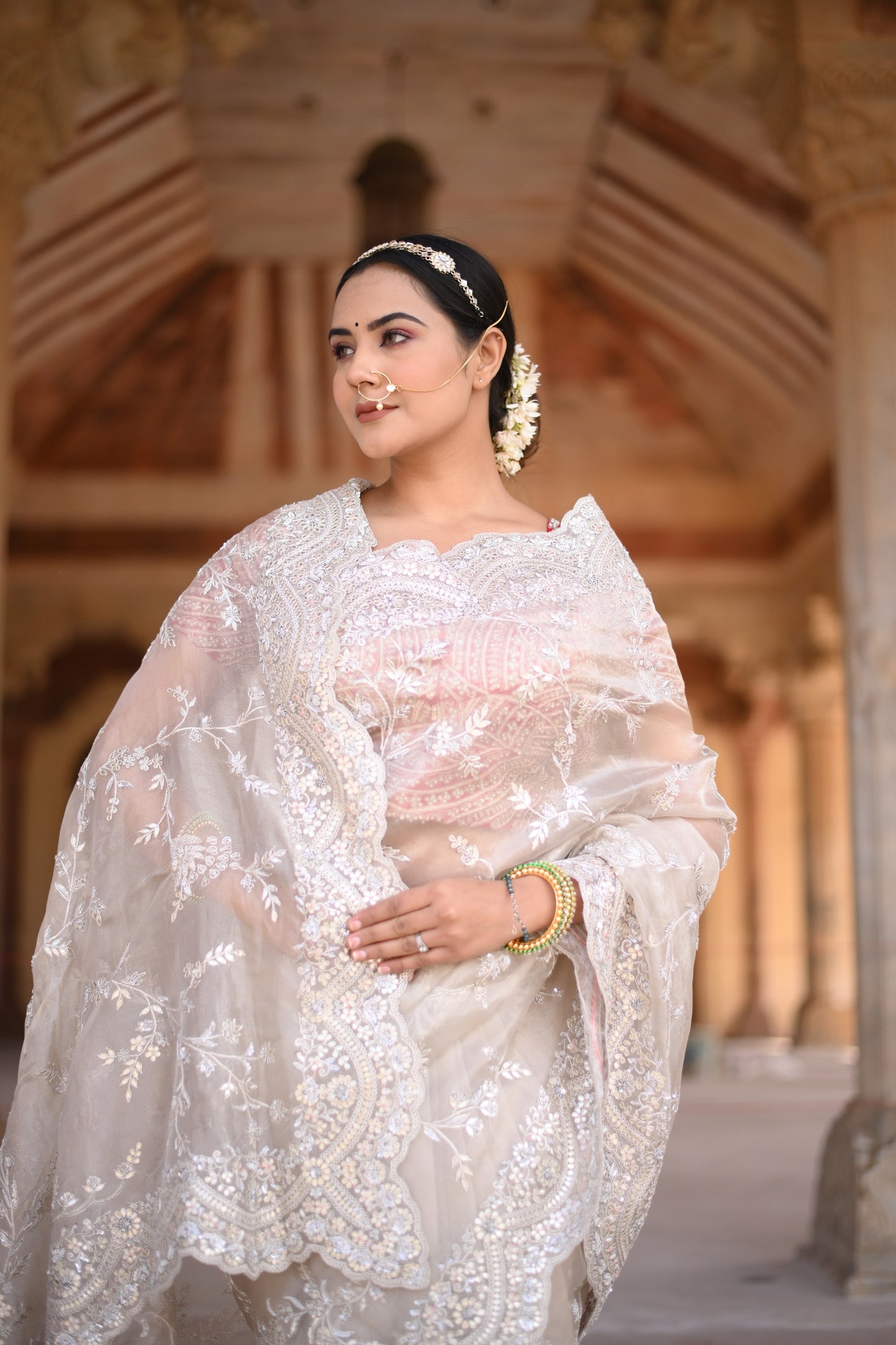 Platinum Silver Orgenza Saree With Mugal Jaal And Floral Work