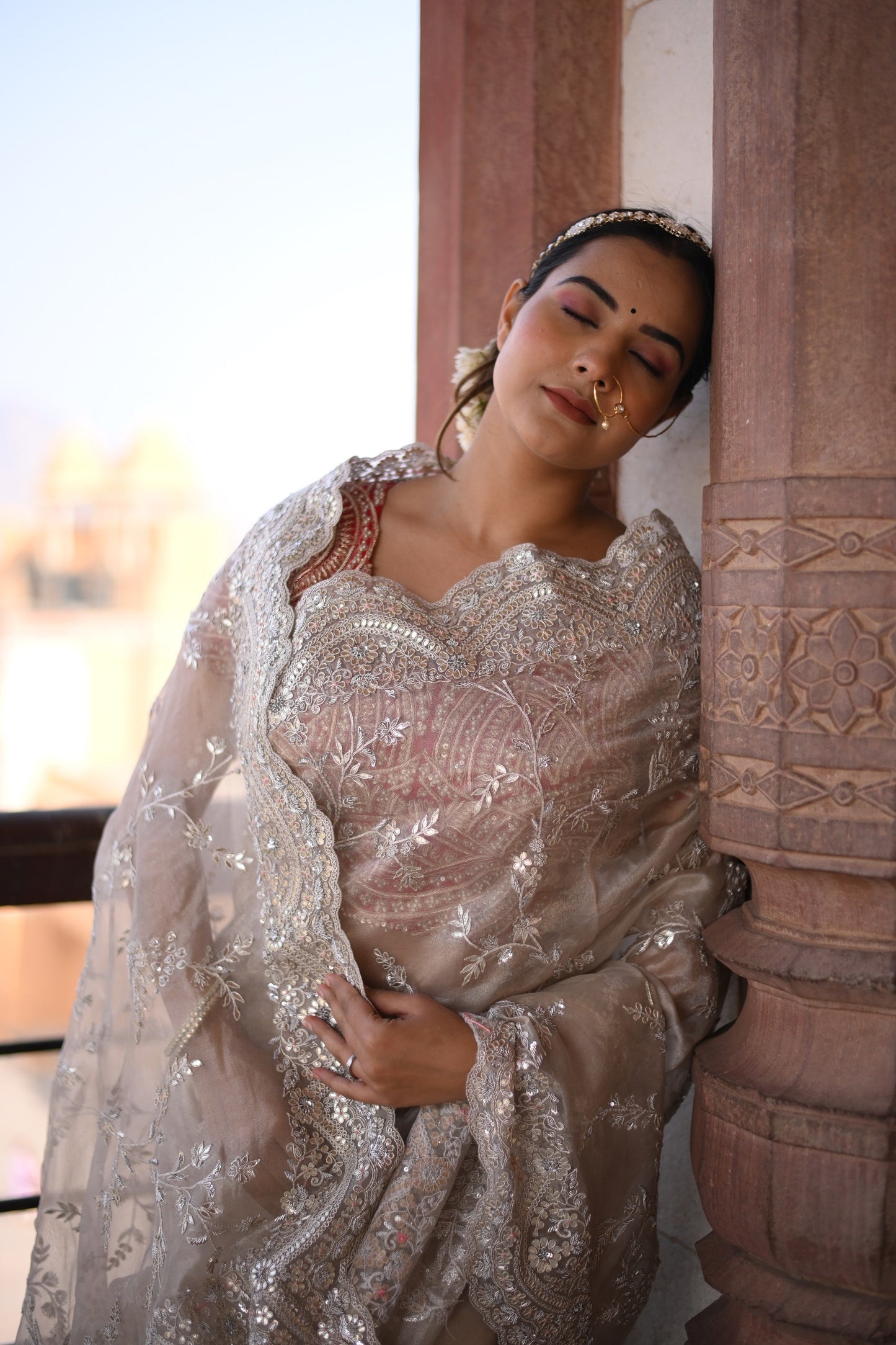 Platinum Silver Orgenza Saree With Mugal Jaal And Floral Work