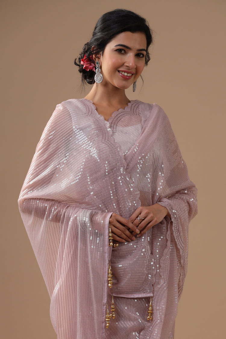 Sequinned Net Saree