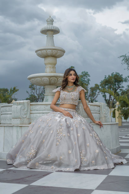 Taupe Hand-Embroidered Tissue Organza Lehenga Set
