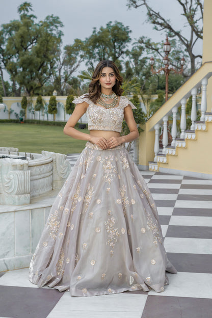 Taupe Hand-Embroidered Tissue Organza Lehenga Set