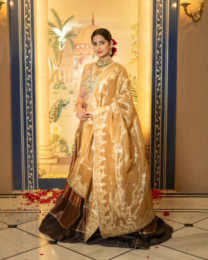 Multi-Tone Silk & Organza Lehenga Set