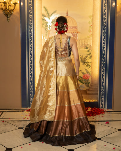 Multi-Tone Silk & Organza Lehenga Set