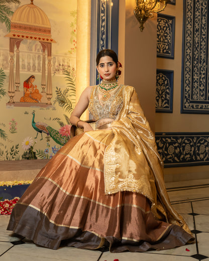 Multi-Tone Silk & Organza Lehenga Set