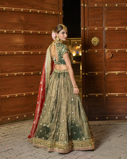 Royal Olive & Coral Zari Tissue Silk Lehenga Set