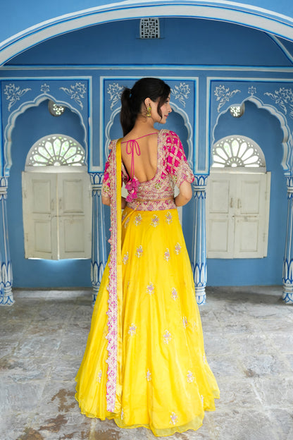 Butter Yellow Organza Skirt With Embellished Ghatchola Blouse And Dupatta