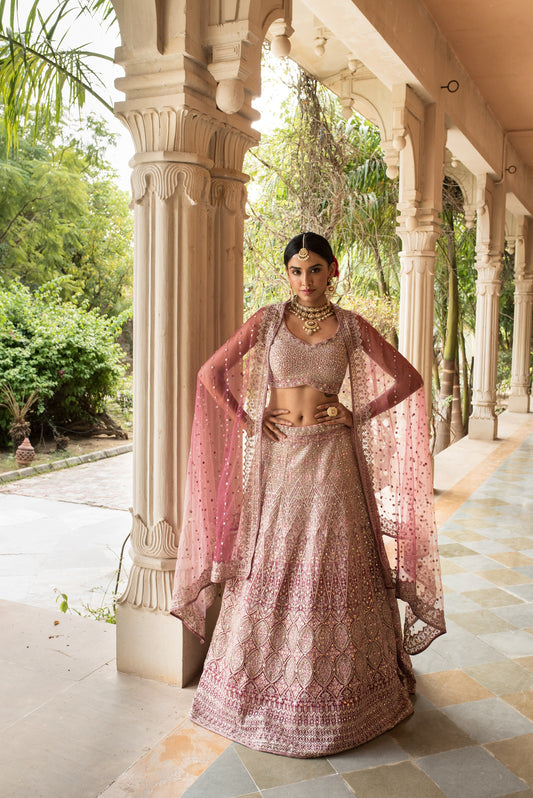 Wine Ombre Embellished Lehenga Choli With Dupatta