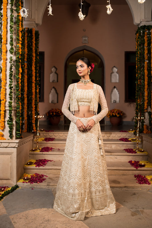 Pearl White Georgette Embellished Skirt With Crop Top And Cape