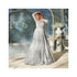 Net Ball Room Gown