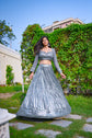 Grey Lehenga Embellished In Sequins With A Resham, Zari And Cut Dana Embroidered Choli